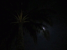 IMG_4108.jpg