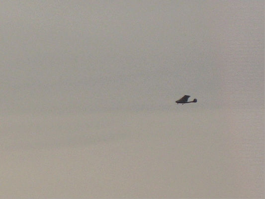 IMG_3926.JPG