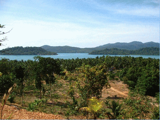 IMG_3961.JPG