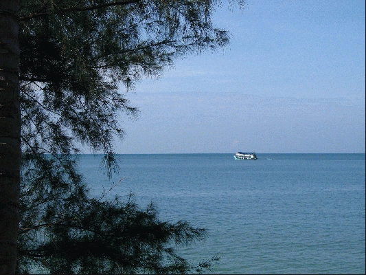 IMG_3966.JPG