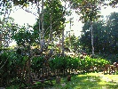 IMG_3903.JPG