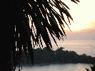 IMG_3954.JPG