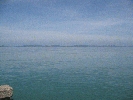 IMG_3960.JPG