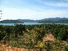 IMG_3961.JPG