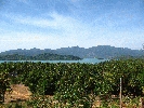 IMG_3962.JPG