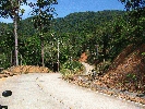 IMG_3963.JPG