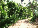 IMG_4059.JPG