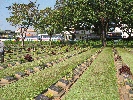 IMG_3775.JPG