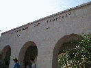 IMG_3779.JPG