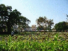 IMG_3780.JPG