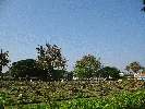 IMG_3781.JPG