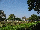 IMG_3782.JPG