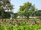 IMG_3785.JPG