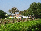 IMG_3786.JPG