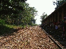 IMG_3804.JPG