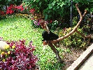 IMG_3805.JPG