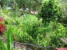 IMG_3806.JPG