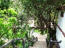 IMG_3811.JPG