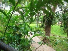 IMG_3812.JPG