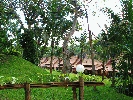 IMG_3816.JPG