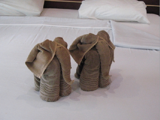 IMG_4634.JPG