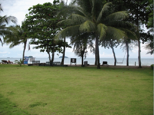 IMG_4606.JPG