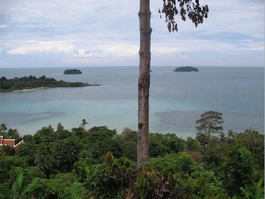 IMG_4609.JPG