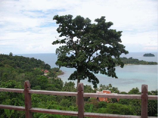 IMG_4612.JPG