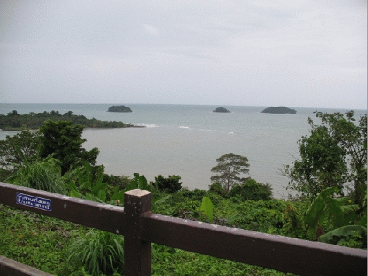 IMG_4631.JPG