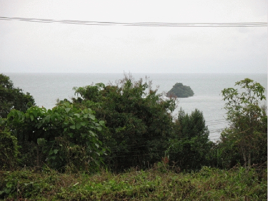 IMG_4633.JPG