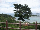 IMG_4612.JPG