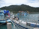 IMG_4615.JPG