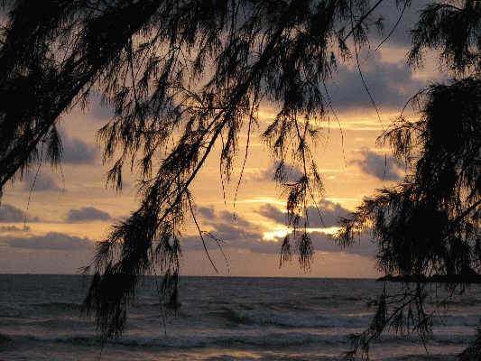IMG_4694.JPG