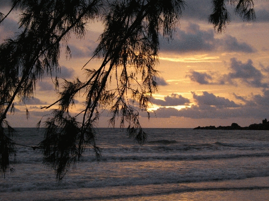 IMG_4695.JPG