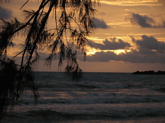IMG_4697.JPG