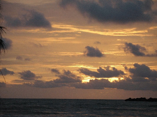 IMG_4698.JPG