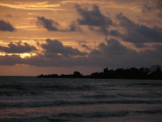 IMG_4699.JPG