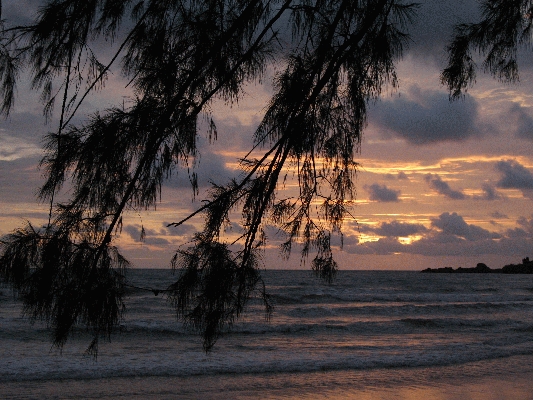 IMG_4707.JPG