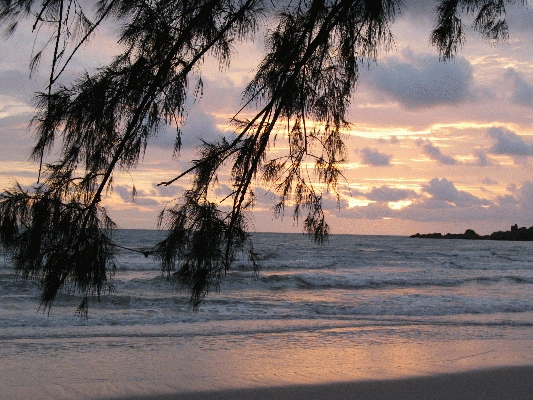 IMG_4708.JPG