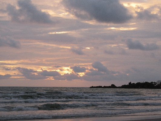 IMG_4720.JPG