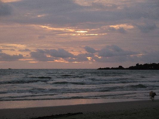 IMG_4736.JPG