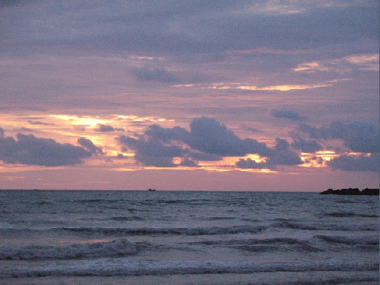 IMG_4753.JPG