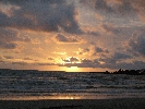 IMG_4687.JPG