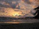 IMG_4690.JPG
