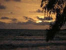 IMG_4691.JPG