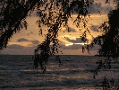 IMG_4692.JPG