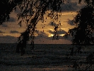 IMG_4693.JPG