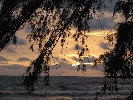 IMG_4694.JPG