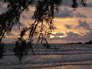 IMG_4695.JPG