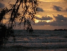 IMG_4697.JPG